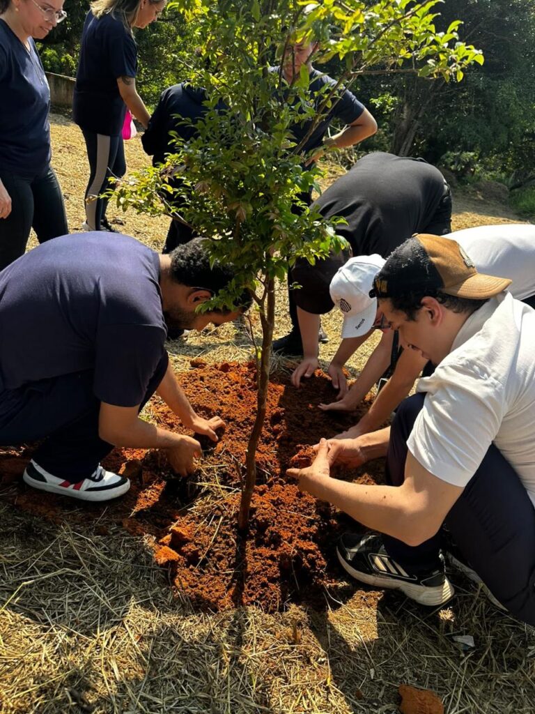Dia da Árvore em Itapeva: Alunos Participam de Oficina Prática de Plantio de Mudas Nativas